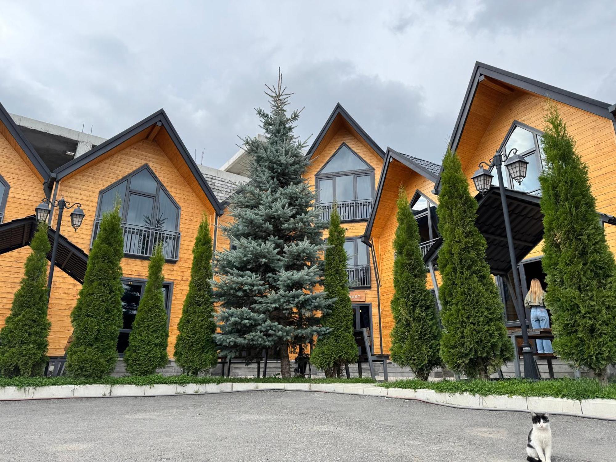 Everest Rest House 萨克德佐尔镇 外观 照片