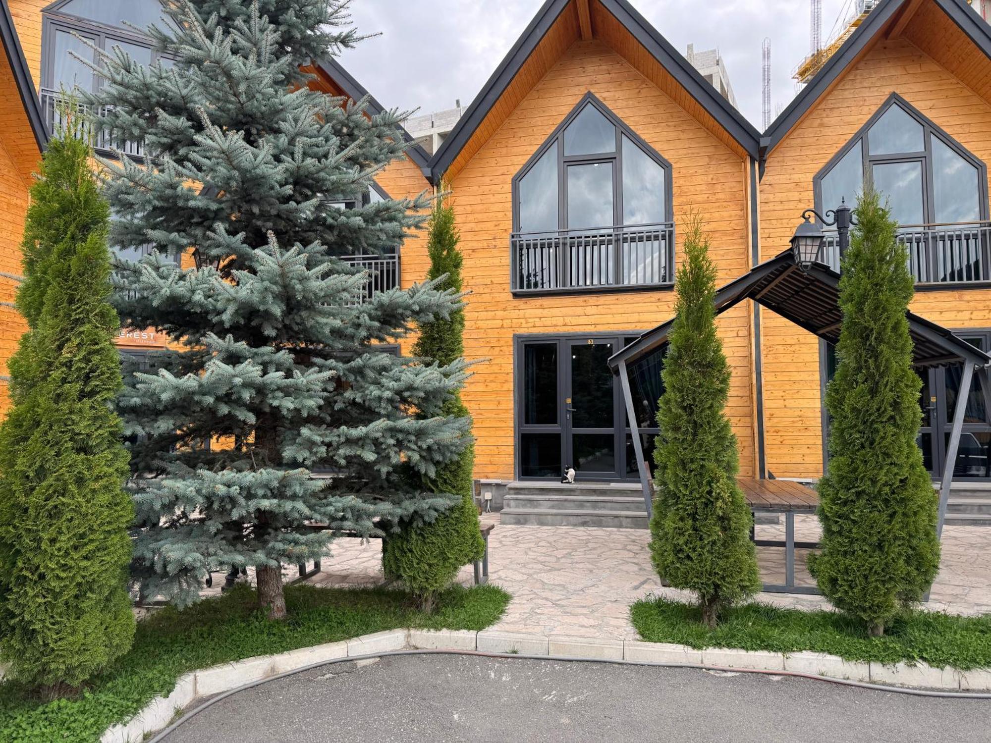 Everest Rest House 萨克德佐尔镇 外观 照片